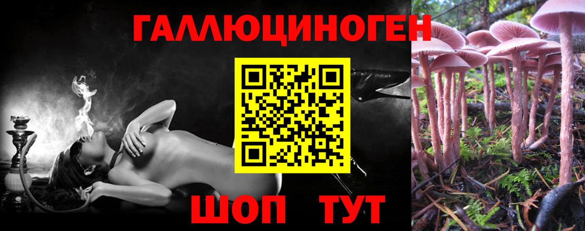 Воскресенск  Галлюциногенные грибы GOLDEN TEACHER  Вход с VPN 